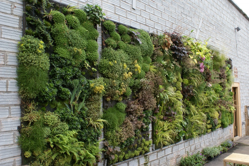 Urban Vertical Garden Delhi - Best Landscape Service