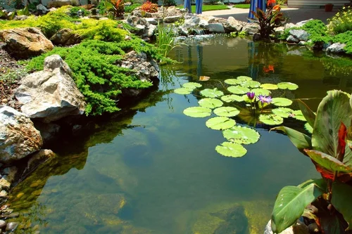 Rock Garden Delhi - Best Landscape Service