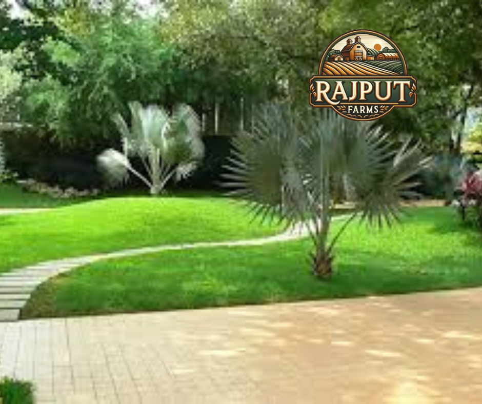 Plantation Delhi - Best Landscape Service