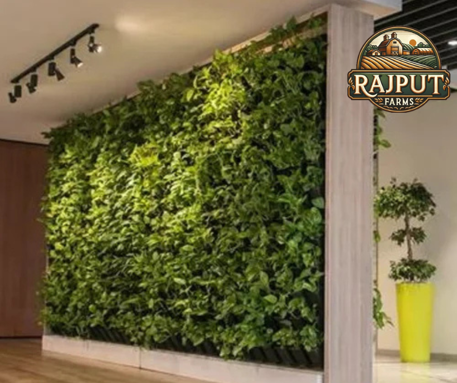 Green Wall Delhi - Best Landscape Service